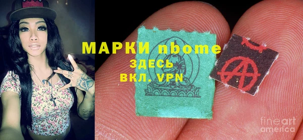 СК Алексин