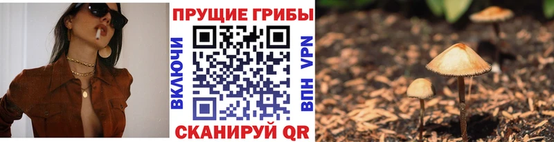hydra маркетплейс  Чулым  Галлюциногенные грибы Cubensis 